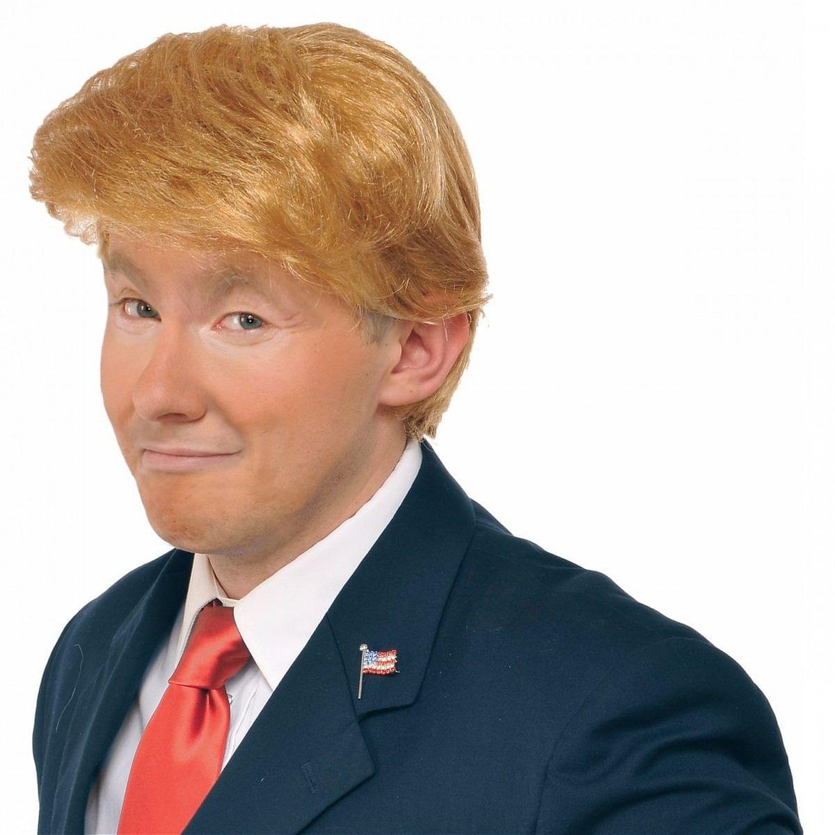 Mr. Billionaire (Donald Trump) Costume Wig Adult - ToyHo.com