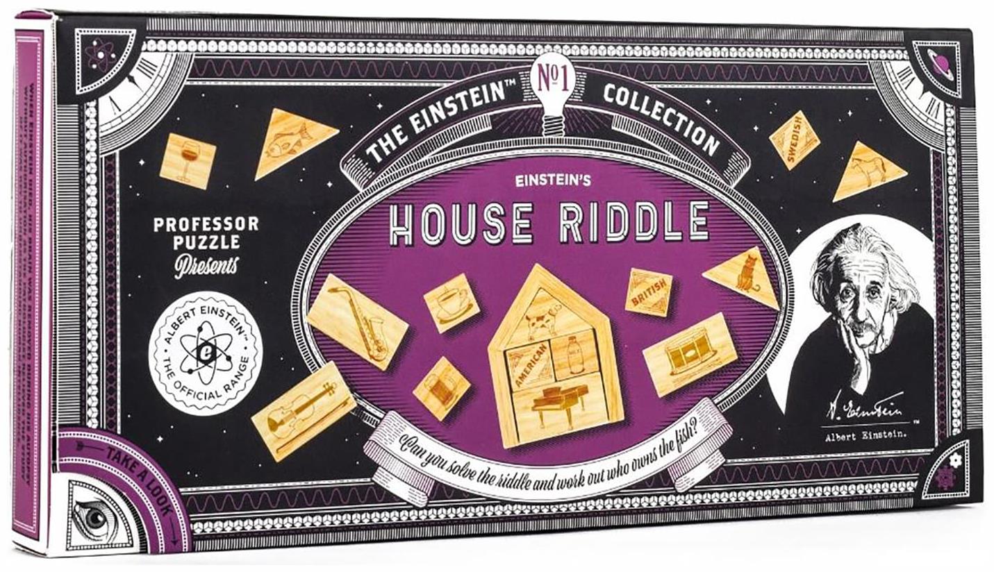 Einsteins House Riddle 3D Brain Teaser Puzzle - ToyHo.com