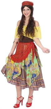 Elite Quality Fortune Teller Adult Costume