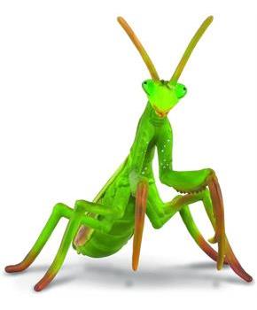 CollectA Insect Collection Miniature Figure | Praying Mantis