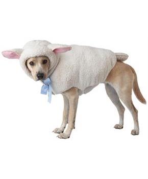 Sheep Dog Costume