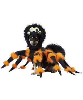 Spider Pup Pet Costume