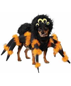 Spider Pup Pet Costume
