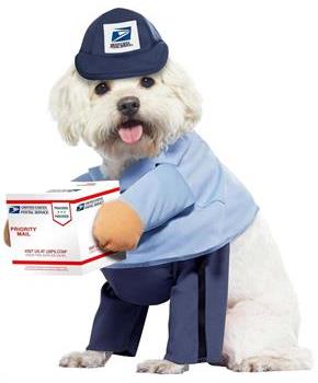 U.S. Mail Carrier Pup Dog Costume