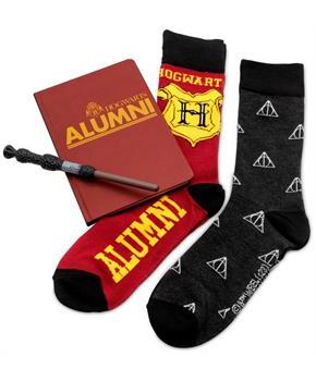 Harry Potter Journal and Sock Bundle