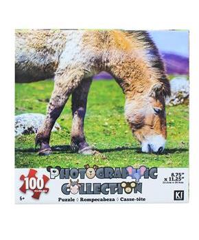 Donkey 100 Piece Photographic Collection Jigsaw Puzzle