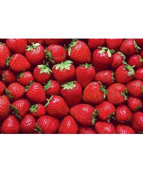 Super Strawberries 100 Piece Cra-Z Difficult Jigsaw Puzzle