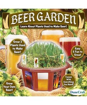 Dunecraft Beer Garden Domed Terrarium
