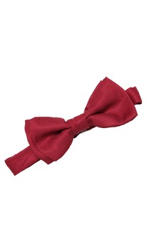 Doctor Who 11th Doctor Bow Tie