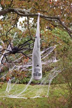 Skull in Spiderweb Cocoon Halloween Prop
