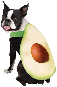 Avocado Food Pet Costume