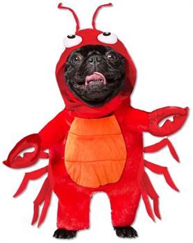 Lobster Pet Costume