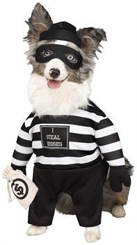 Robber Pup Pet Costume