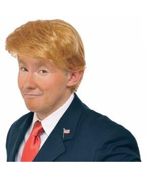Mr. Billionaire (Donald Trump) Costume Wig Adult