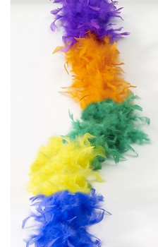 Feather Costume Boa Rainbow