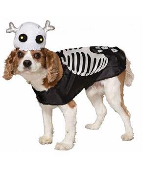 Skeleton Pet Costume