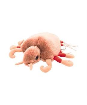 Giant Microbes Crab Louse (Pthirus Pubis) 6" Plush
