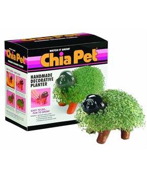 Chia Pet Grass Planter: Puppy