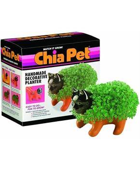 Kitten Chia Pet Decorative Pottery Planter