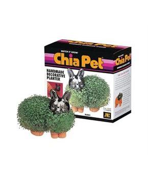 Chia Pet Grass Planter: Bunny