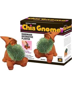 Gnome Chia Pet Decorative Planter