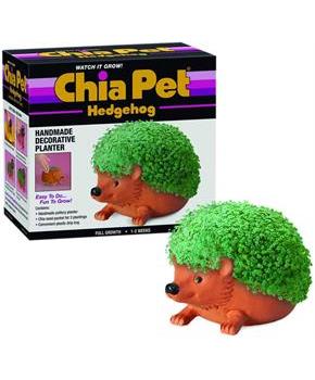 Hedgehog Chia Pet Decorative Planter