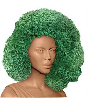 RuPaul Chia Pet Decorative Pottery Planter