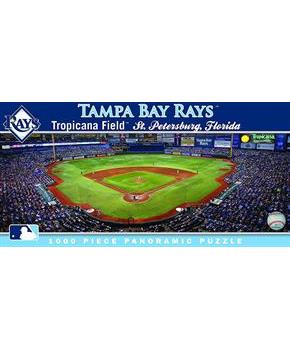 Tampa Bay Rays Stadium MLB 1000 Piece Panoramic Jigsaw Puzzle