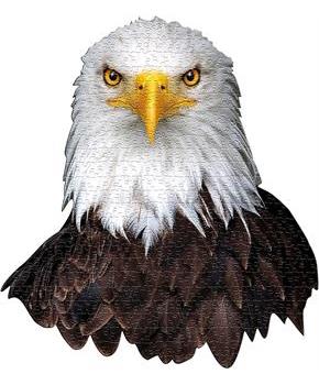 I AM Eagle 300 Piece Animal Head-Shaped Jigsaw Puzzle