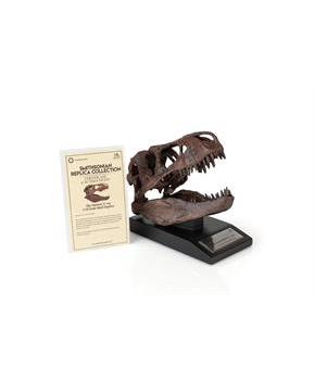 The Nation's T-Rex Skull Statue | 6-Inch Smithsonian Fossil Replica| 1:10 Scale