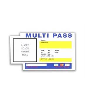 Fifth Element Multi Pass Sticker