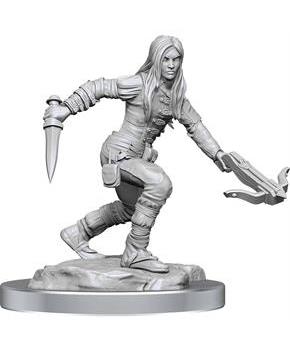 D&D Nolzurs Marvelous Unpainted Miniatures | Half-Elf Rogue Female