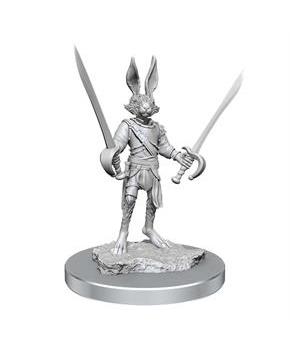 D&D Nolzurs Marvelous Unpainted Miniatures | Harengon Rogues