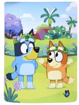 Bluey and Bingo 46 x 60 Inch Silk Touch Throw Blanket
