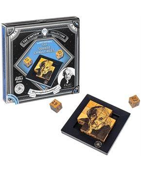 Einsteins Six Square Challenges 3D Brain Teaser Puzzle