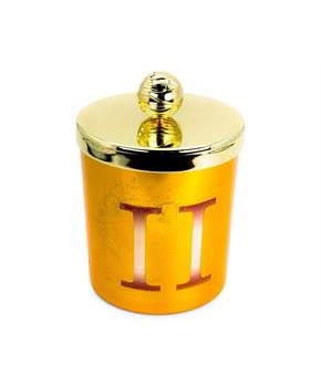 Harry Potter House Hufflepuff Premium Scented Soy Wax Candle