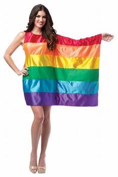Rainbow Flag Dress Adult Costume