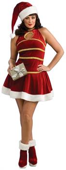 Sexy Female Santa Christmas Dress Adult Plus Costume
