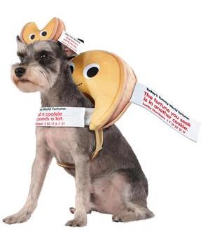Fortune Cookie Pet Costume