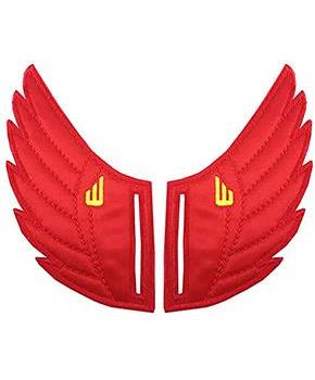 Shwings Shoe Accessories: Red Wings Slotted