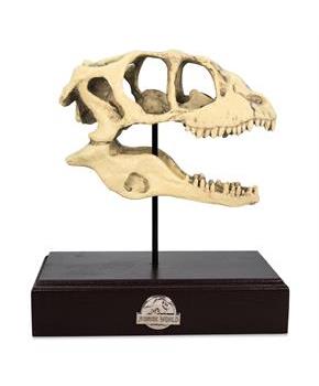 Jurassic World Velociraptor Skull Paperweight Replica | 8 Inches Tall