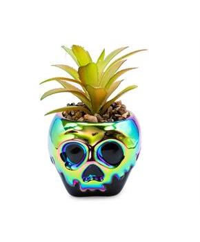 Disney Villains Poison Apple Mini Ceramic Planter with Artificial Succulent
