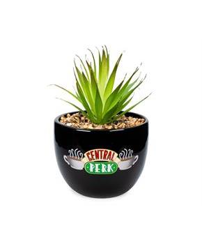Friends Central Perk Logo Large 7.75 x 4.75 Inch Ceramic Planter