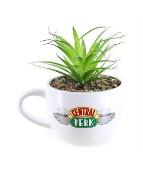 Friends Central Perk Logo Large Ceramic Planter with Handle
