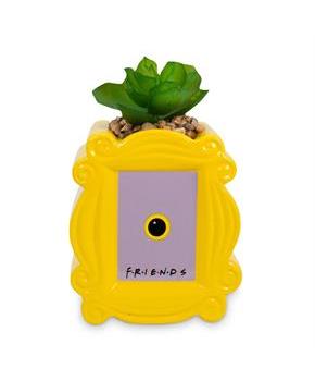 Friends Peephole Frame 3-Inch Ceramic Mini Planter with Artificial Succulent