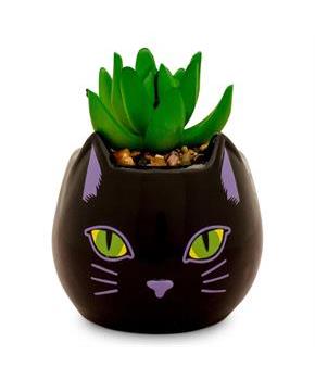 Disney Hocus Pocus "Binx Is My Boo" Ceramic Planter with Artificial Succulent