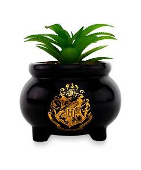 Harry Potter Hogwarts Cauldron Ceramic Mini Planter With Artificial Succulent