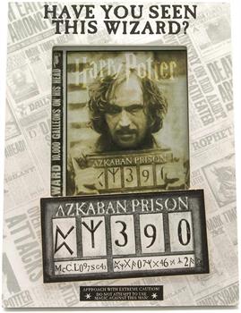 Harry Potter Have You Seen This Wizard 4x6 Inch Photo Frame