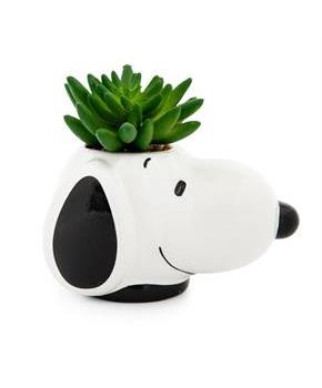 Peanuts Snoopy Face Ceramic Mini Planter with Artificial Succulent
