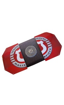 Transformers Takara MP-14 Red Coins